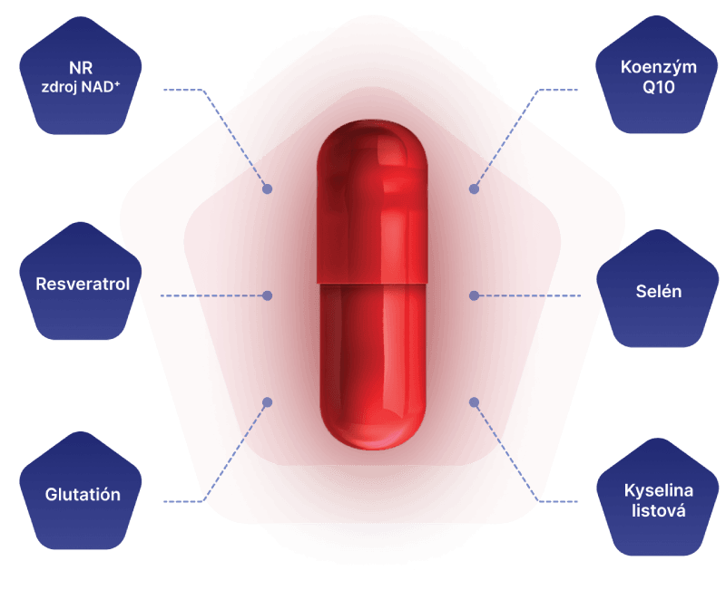 Ilustrácia pilulky s ingredienciami