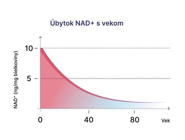 Úbytok NAD+ s vekom